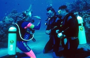 Mergulho com cilindro e snorkel